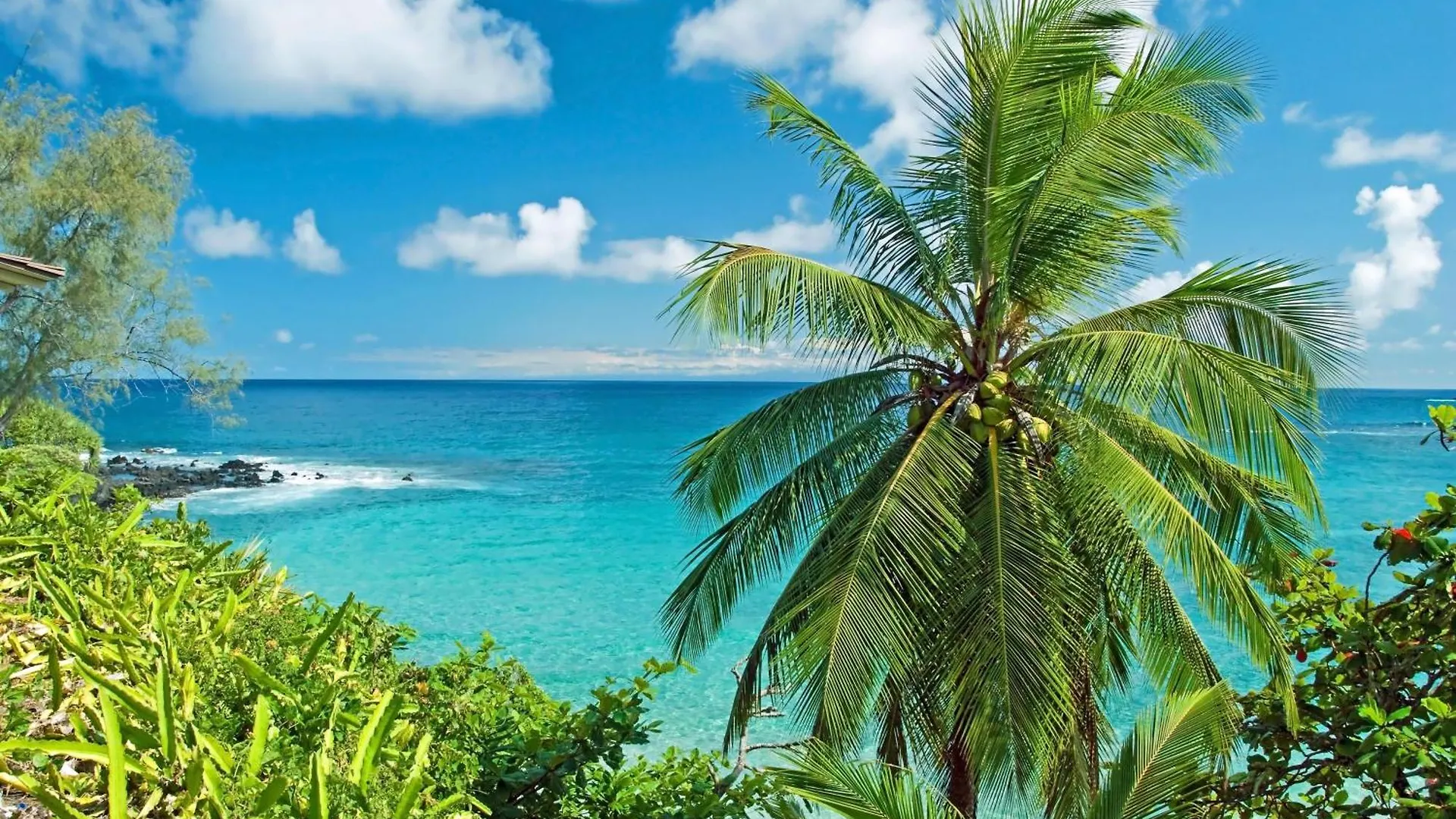 Holiday home Valley Isle 208 Kahana United States